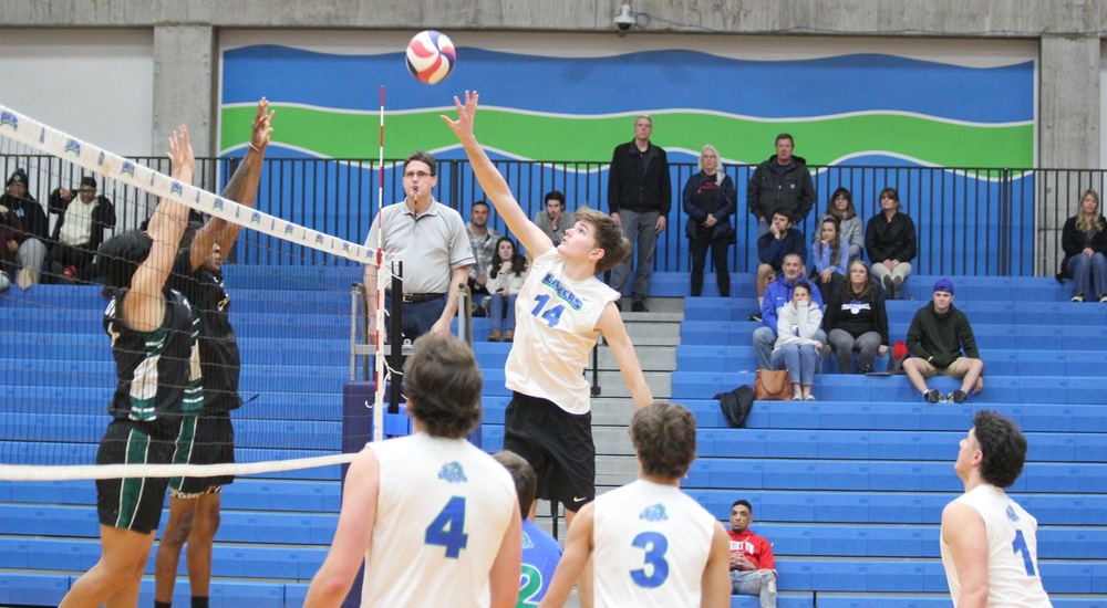 Men's Volleyball Sweeps at Nassau